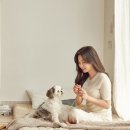 연화수퍼 이미지