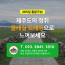 눈부신날 | 제주 올레길 후기 │ 햇살 눈부신 날, 올레지기님들과 함께 물든 올레길