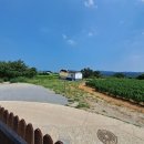 청하감성독채펜션 이미지