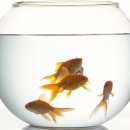 에이치원메디칼 이미지