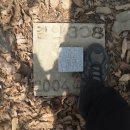 옥산면사무소 이미지