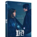 파란 DVD