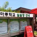 부산 해마루 학교 이미지