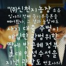 서정기농장 Daum카페
