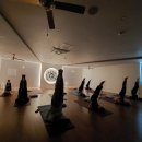 테라피요가(고급) 이미지