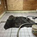 (주)하나레미콘 | 바닥방통 김포 주택 방 확장 방통공사 후기!