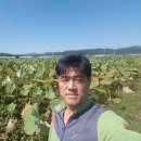 선영농원 - 김포시 도사로 120-31 | 선영농원