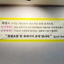 염소와채마밭