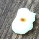 수봉식품 이미지