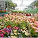 일산오렌지충전소 이미지