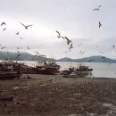 소래장터 이미지