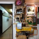 박주환농장 이미지