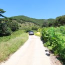 천내2리 마을회관 이미지