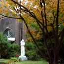 간석2동-3 이미지