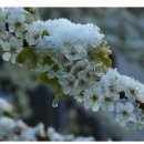 수원-0786 이미지