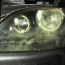 프로칼라덴트 이미지