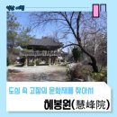 혜봉원목조보살입상 이미지