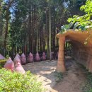 조내기고구마 역사공원 이미지