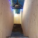 pet 122무6109 | 대흥동 술집 야외 포차 : 분위기 좋은 포차옥상달빛 방문 후기