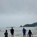 가천다랭이마을 | 남해 여행 2일차 코스 | 가천다랭이마을부터 상주은모래비치 요트투어, 타짜오리 삼천포점까지