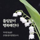 소확행과 아보하~일상의 작은 행복을 찾아서 이미지