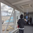 토이즈팝 시지광장점 | 중국 대련 여행 1일차 대한항공 / 우호광장 머큐어 호텔 / 신흥전승오리구이 / 구적족도 / 팝마트...