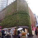 네이처리퍼블릭 카카오 검색결과