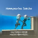 속초마리나호텔 | 속초여행 아이동반 4인가족 홈마리나 속초 호텔 호캉스 후기