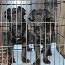 경호농장 이미지