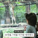 에버랜드 | 아기랑 에버랜드 후기 발렛 준비물 수유실 위치 동선 추천