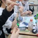 군포화산초등학교 | [강의후기]애니메이션 모아나와 함께하는 진로 인문학 특강