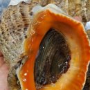 스토어소라 이미지