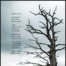 빛 소리 Ⅱ 이미지