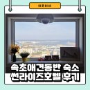 비앤비 | 가성비 좋은 속초애견동반숙소 썬라이즈호텔 에어비앤비 후기