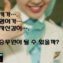 라플라잇승무원학원 이미지