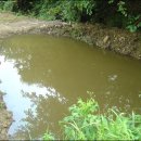 폴리한의원 이미지