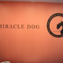 호텔 미라클 이미지