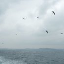 우도빌딩 이미지