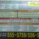 뉴올리브숲 이미지