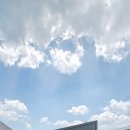 초이로 52 이미지