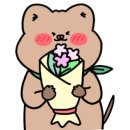 올찬헤어 네이버블로그