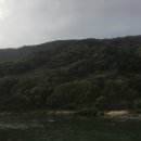 용진상회 이미지