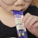 슈퍼베리 | 안토시아닌 홀베리 유기농블루베리 후기 10대 슈퍼푸드