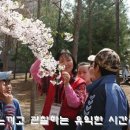 주민 화합의 場, 제3회 방학동 벚꽃축제 개최 이미지