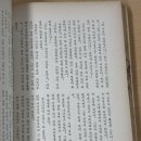 파라다이스나이트클럽 | 아오바 이치코와 동시대를 산다는 것