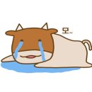 대광식당 - 함안군 유성로 244 | 대광식당