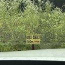 비발디 캠핑파크 | [캠핑] 강원도 홍천 캠핑장_비발디캠핑파크_미니카라반 이용 후기(수영장있는 캠핑장)