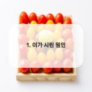 이가편한치과의원 이미지