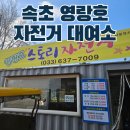 26스토리 | 속초 영랑호 26년 벚꽃 후기 자전거 대여소 영랑호 스토리자전거