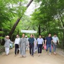 천년숲서로 이미지